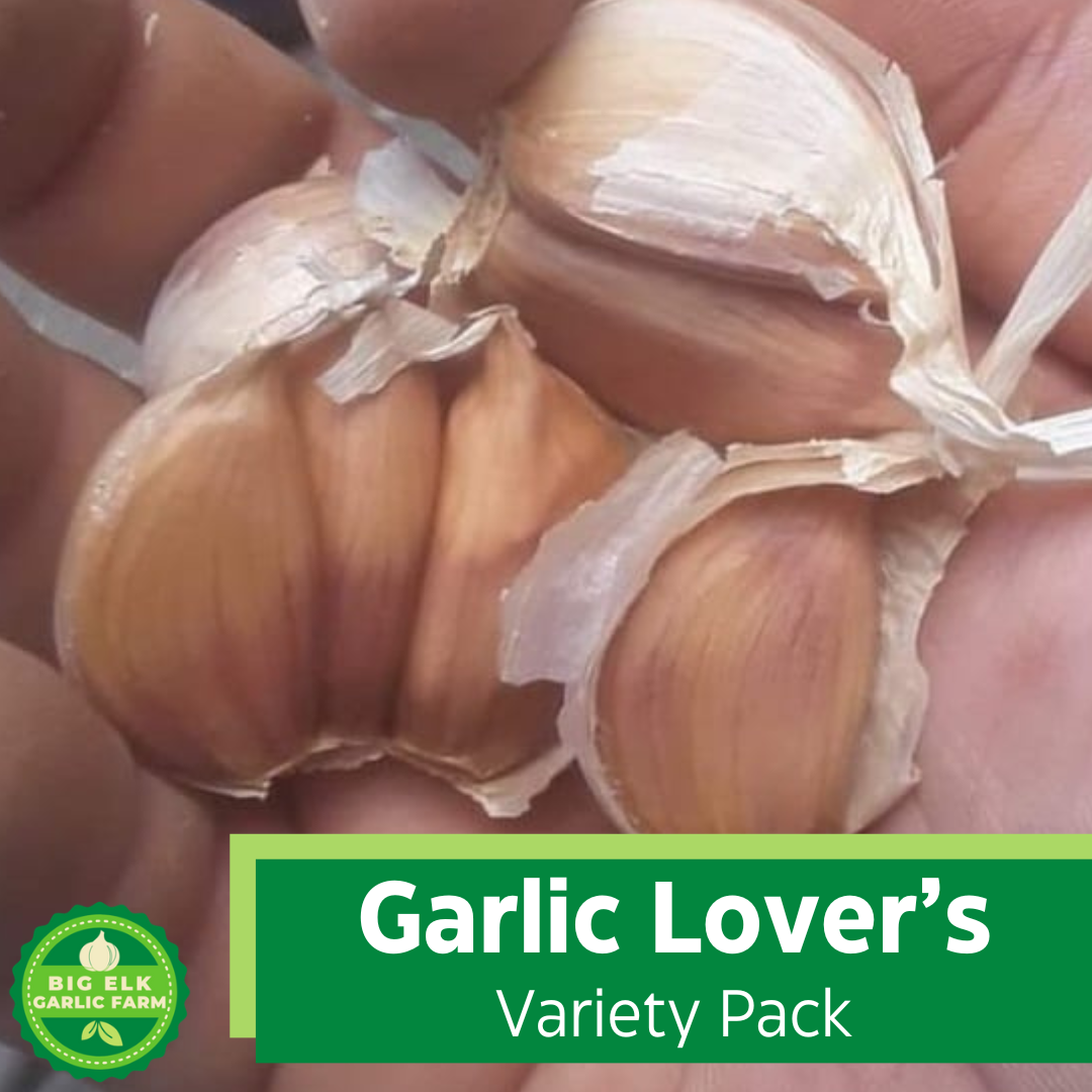 Garlic Lover's Variety Pack