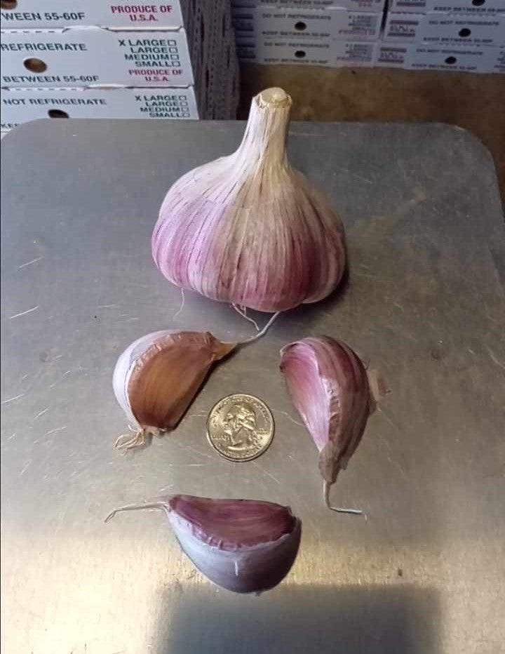 Jumbo Combo Variety Pack