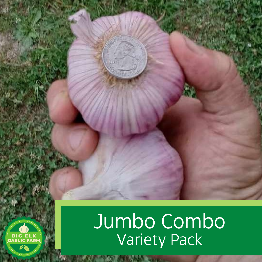 Jumbo Combo Variety Pack
