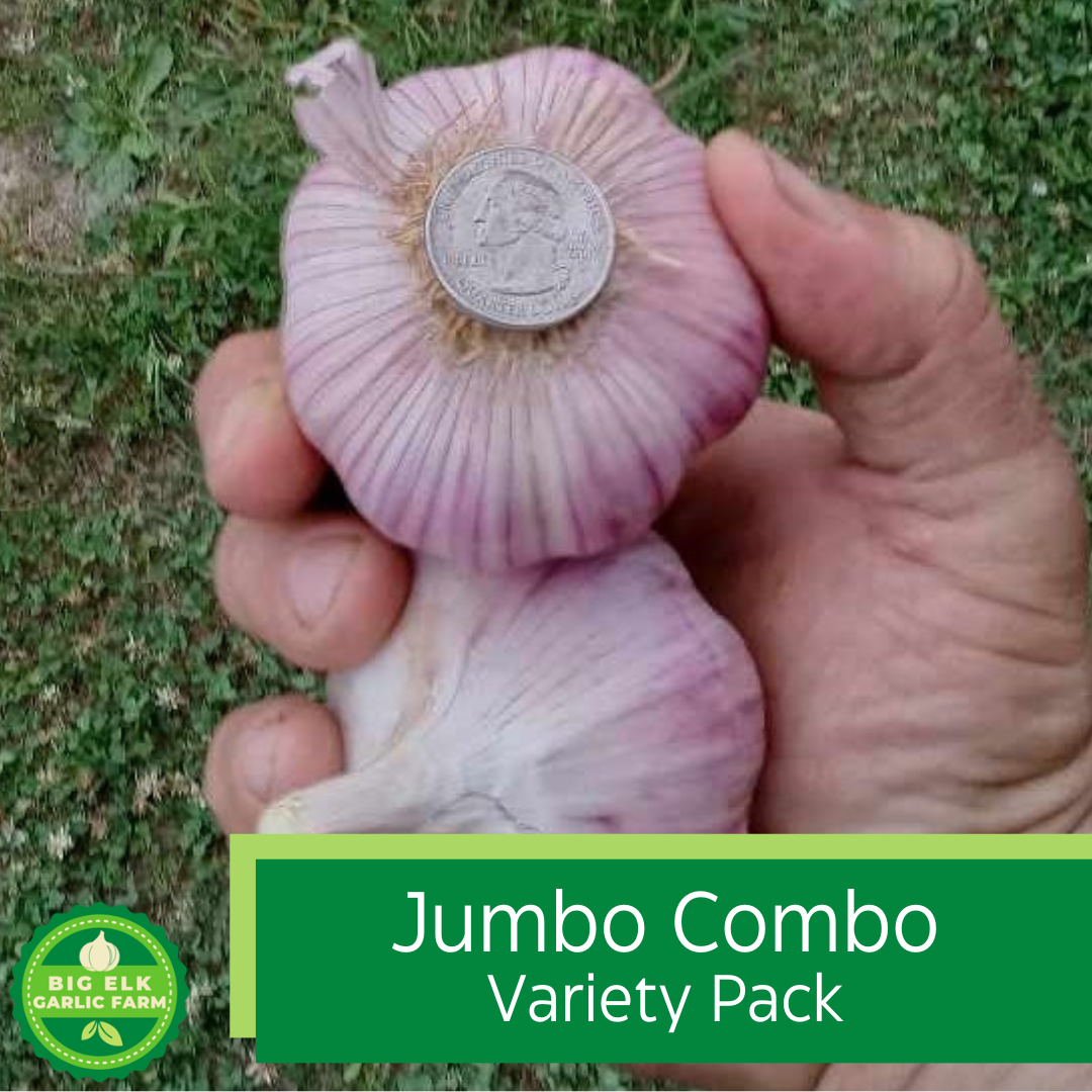 2024 PRE-ORDER Jumbo Combo Variety Pack