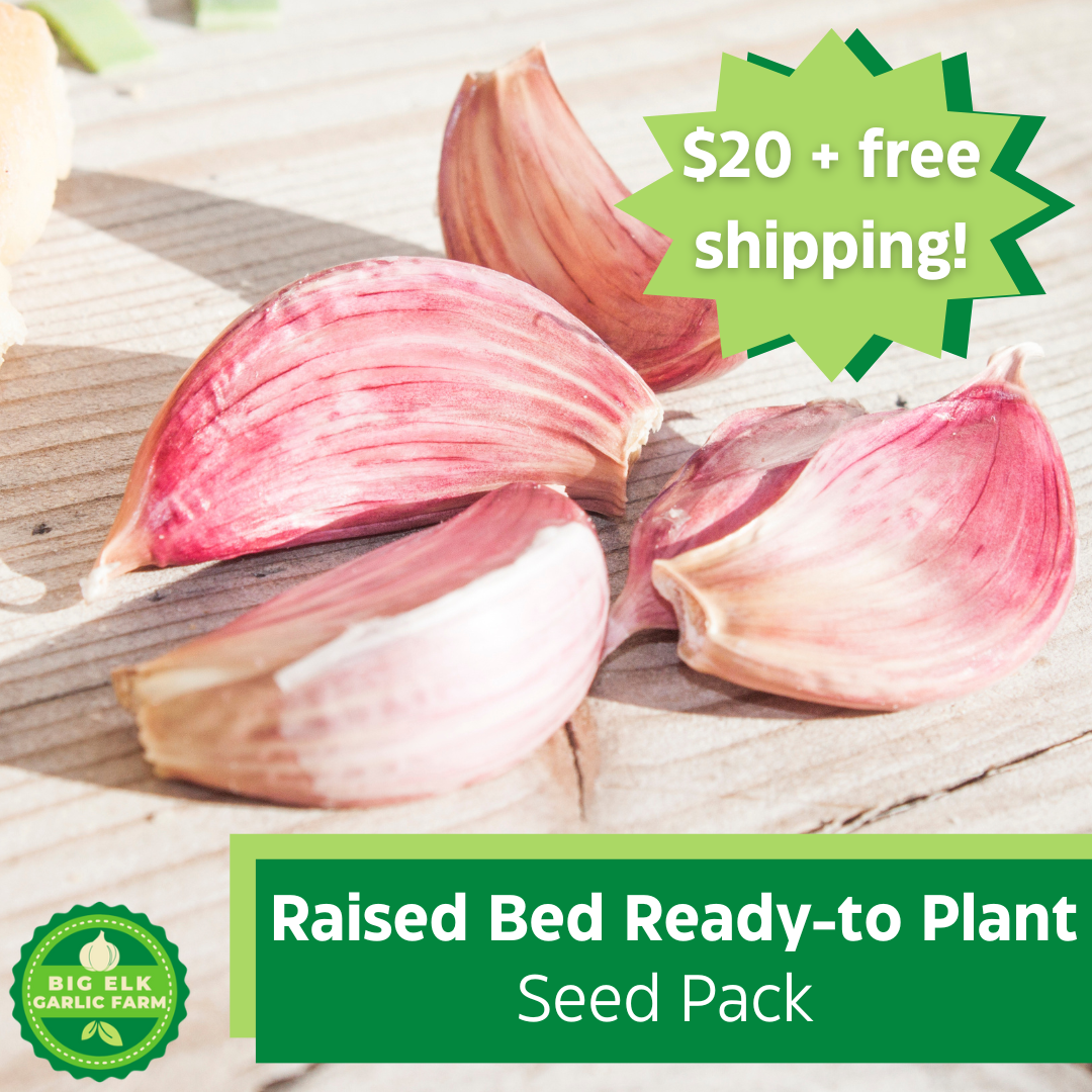 Raised Bed Ready-to-Plant Seed Pack