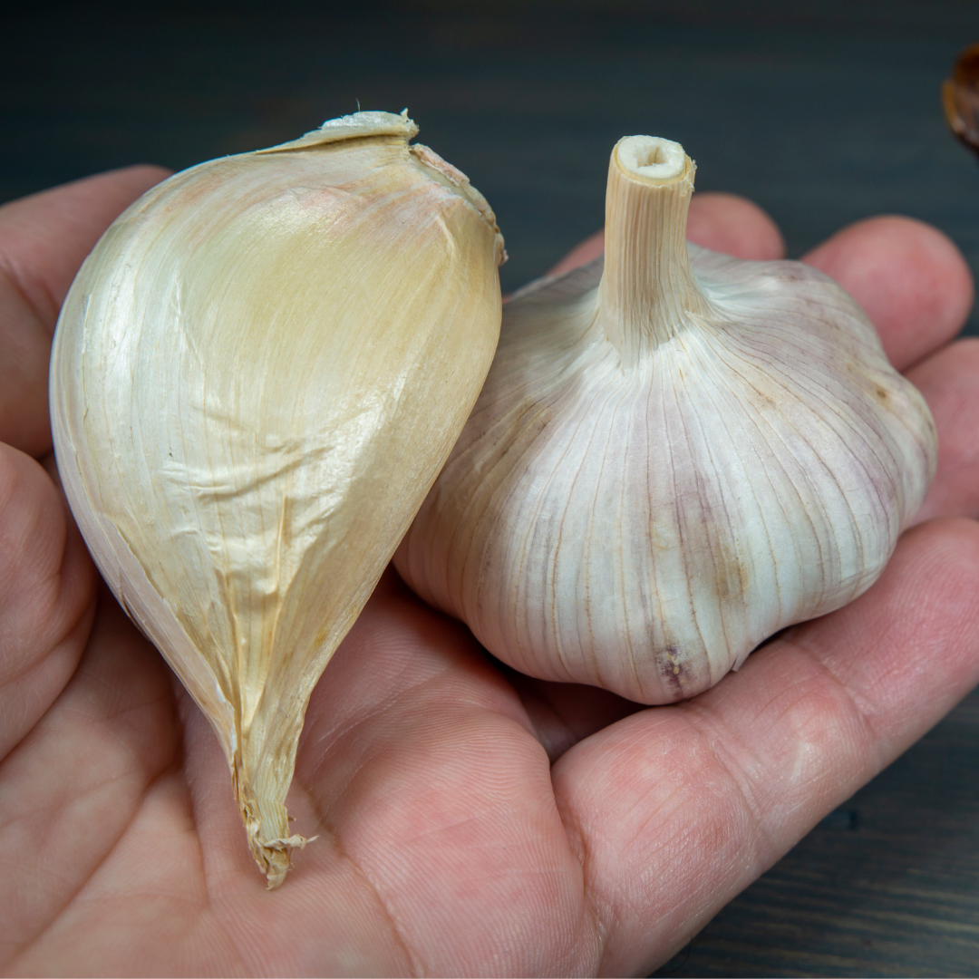 Garlic Lover's Variety Pack