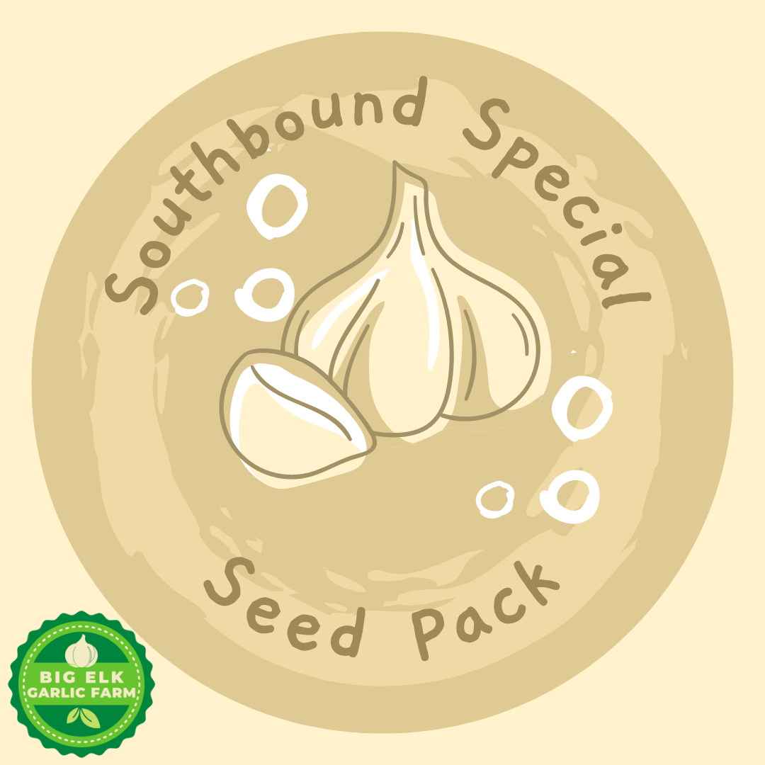 Southbound Special