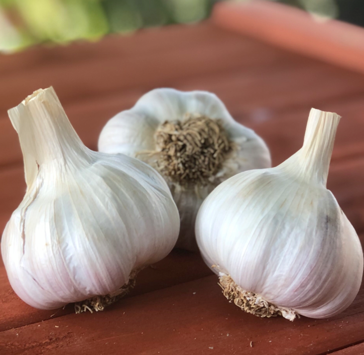 The Backyard Gardener Variety Pack