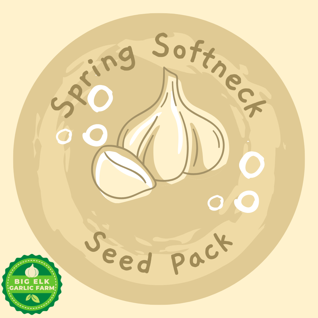 Softneck Ready-to-Plant SPRING Garlic Seed Pack