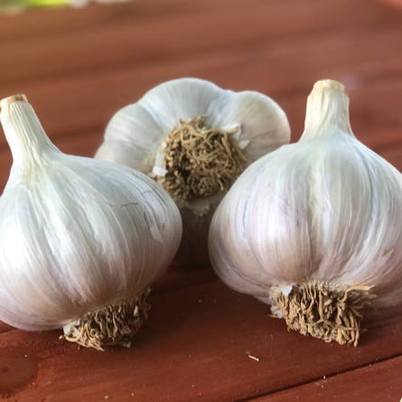 Ready To Plant Variety Pack