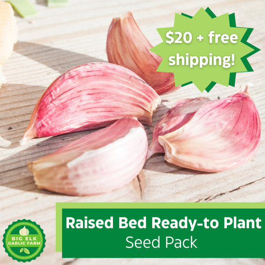 2024 PRE-ORDER Raised Bed Ready-to-Plant Seed Pack