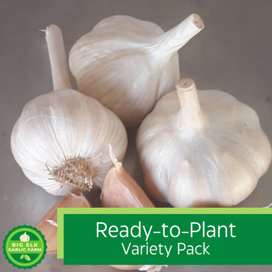 2024 PRE-ORDER Ready To Plant Variety Pack